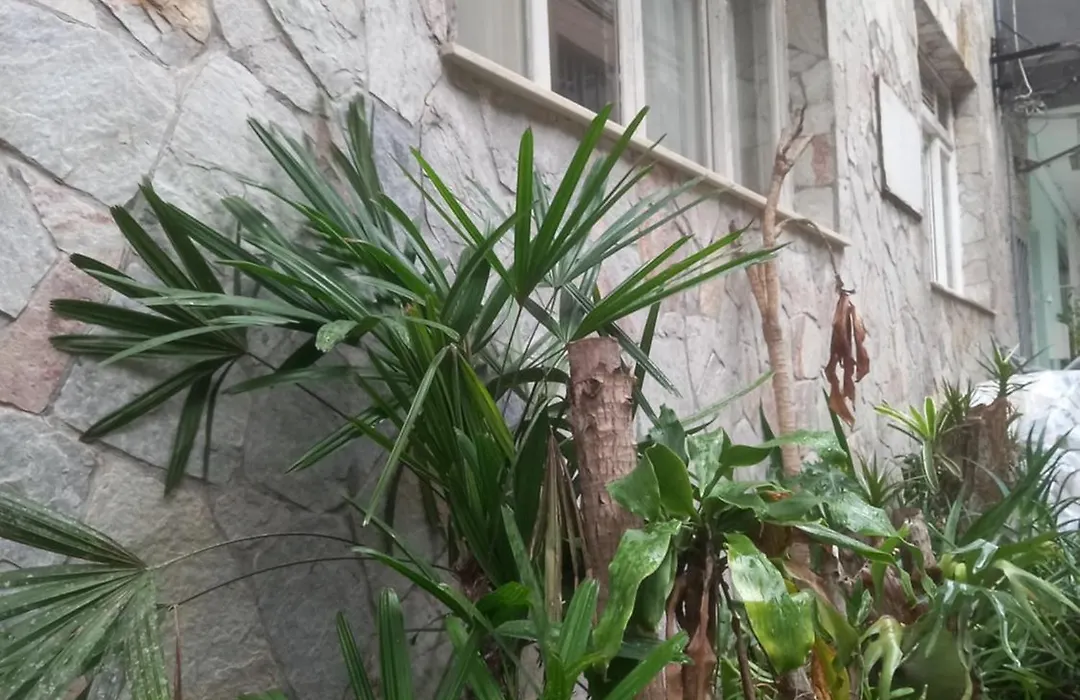 VILA LEME Casa 11A-1